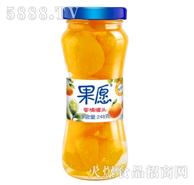 ����Ը�����ٹ��^ 248g