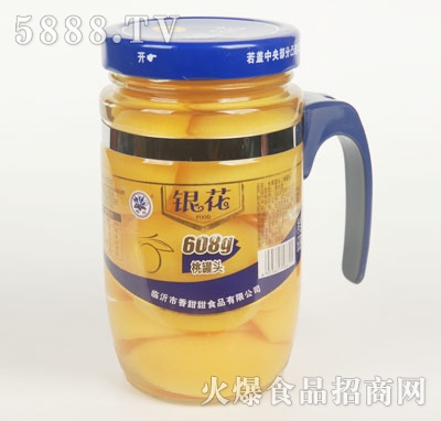 �y���ҹ��^608g