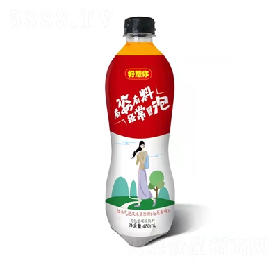 ���������ݗ���t�������L(f��ng)ζ�}��ϣ�������ζ��������̼�����ƿ�b480ml�������