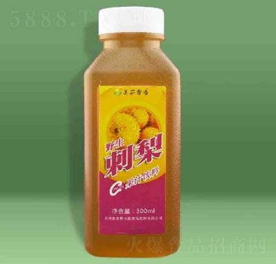 ��������Ұ������֭���300ml