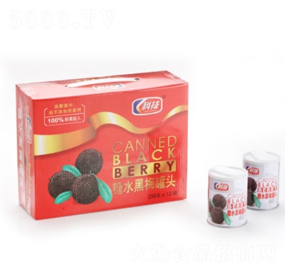 �Ƽ���ˮ��÷���^256gX12��