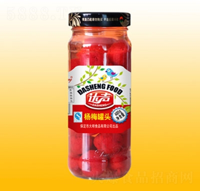 �_(d��)480g��÷���^