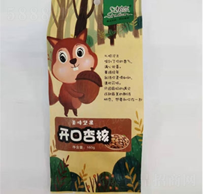 ����_���Ӻ�160gX100��