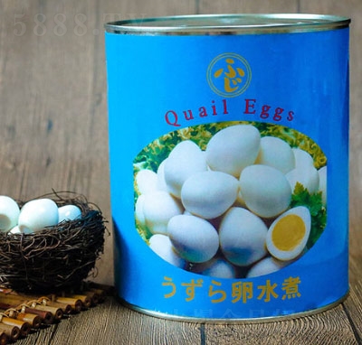 ���|�g�������^�{(l��n)��