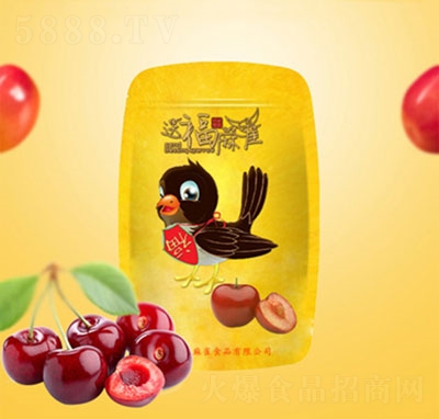 �͸���ȸ���Ҹ�