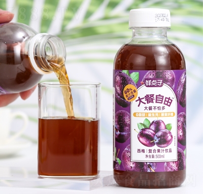 �r�c�Ӵ��������÷֭�ͺϹ�֭���500ml