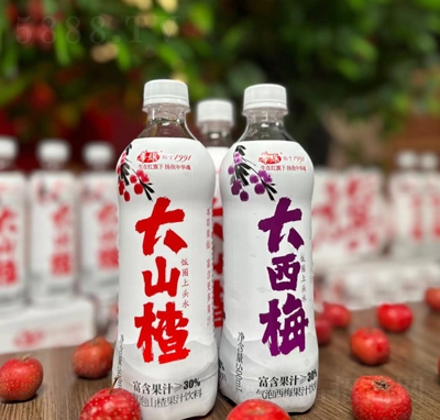 �A����ݹ�֭���500ml