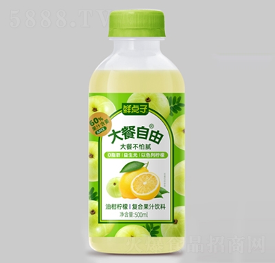 �r�c(di��n)�Ӵ�������͸̙��ʏ�(f��)�Ϲ�֭���500ml