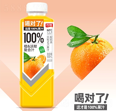 ���¶100%���ָ̏ͺϹ�֭���500ml
