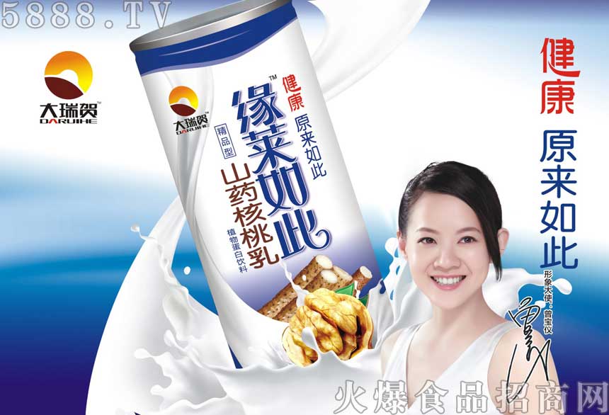 ɽˎ������