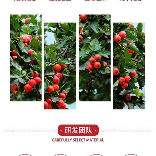 �|�ѹ��@�W��ɽ�֭���_10