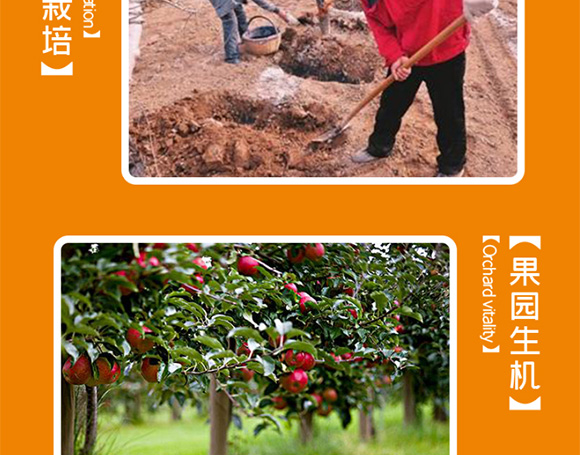 �Ͻ��O��֭_08