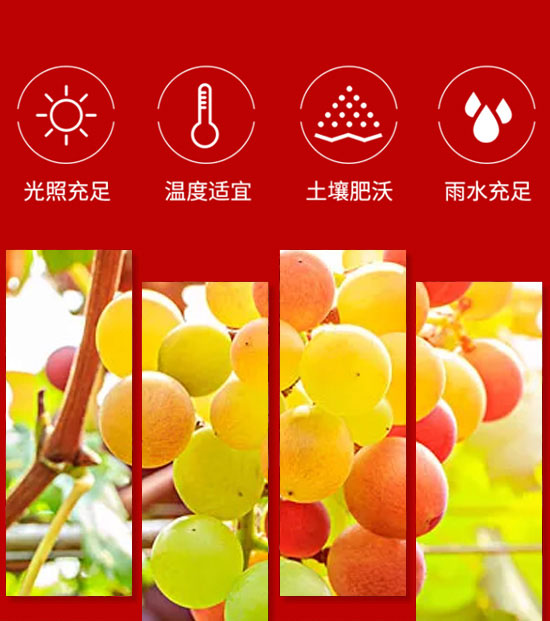 �����ȫ�RʳƷ������޹�˾-��֭17_04