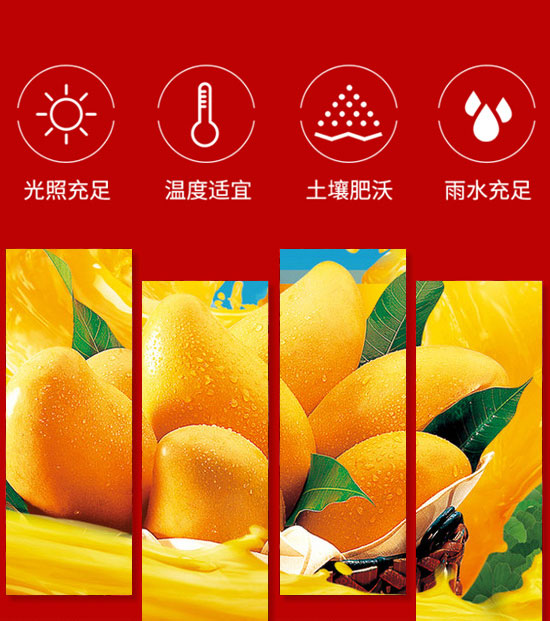 �����ȫ�RʳƷ������޹�˾-��֭12_04