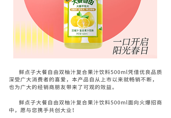 ����ʽʳƷ(�Ϻ�)���޹�˾-�a(ch��n)Ʒ����(c��)�p��_02