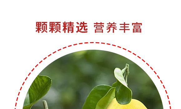 ����ʽʳƷ(�Ϻ�)���޹�˾-�a(ch��n)Ʒ����(c��)�p��_05