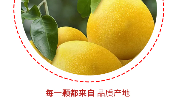 ����ʽʳƷ(�Ϻ�)���޹�˾-�a(ch��n)Ʒ����(c��)�p��_06