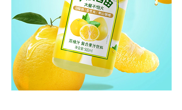 ����ʽʳƷ(�Ϻ�)���޹�˾-�a(ch��n)Ʒ����(c��)�p��_08