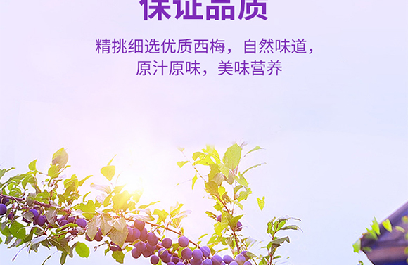 ����ʽʳƷ(�Ϻ�)���޹�˾-�a(ch��n)Ʒ����(c��)10-��÷_06