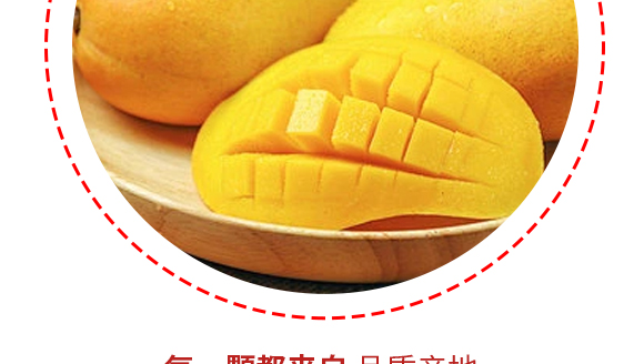 ���������Gɫ�Ʒ���޹�˾-â���a(ch��n)Ʒ��(hu��)��(c��)1230_08