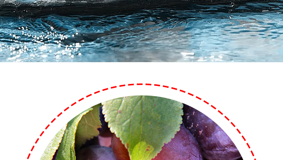 �������ʳƷ�Ƽ����޹�˾-��÷����_08