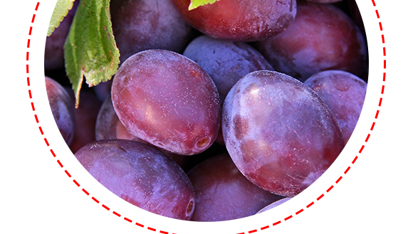 �������ʳƷ�Ƽ����޹�˾-��÷����_09