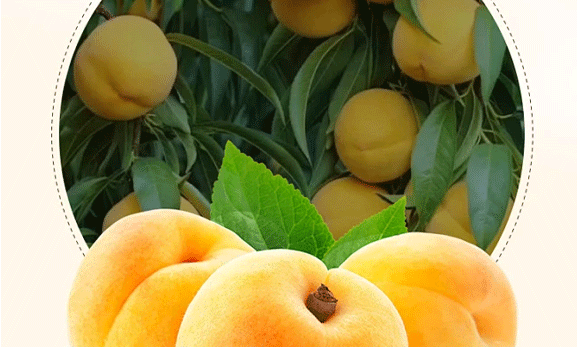 ɽ�|�ɅRʳƷ������޹�˾-����_07