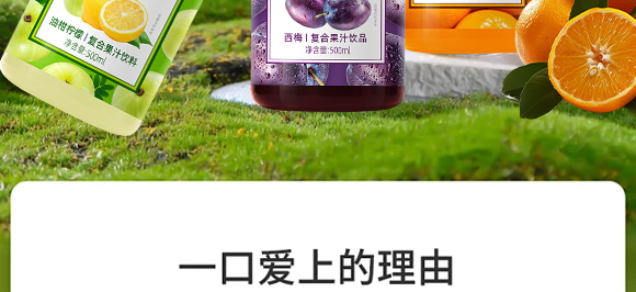 ����ʽʳƷ(�Ϻ�)���޹�˾-12_04